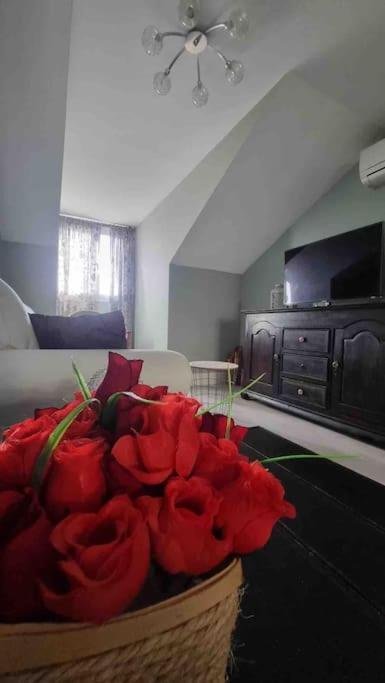 Adriva Fuente Dorada-plaza Mayor, Wifi Atico Apartment