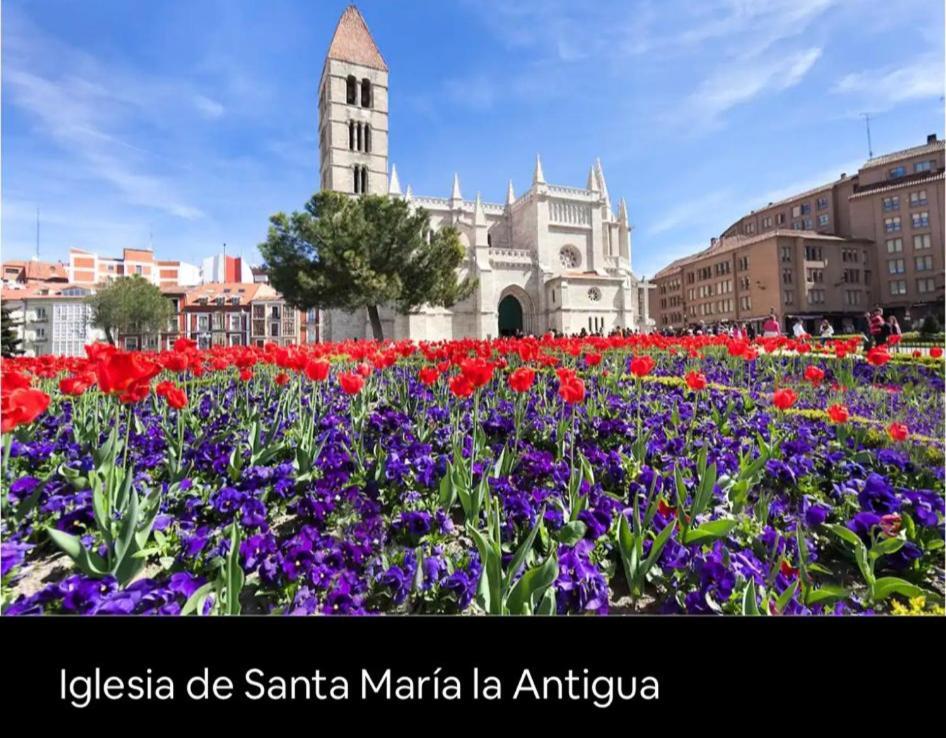 Adriva Fuente Dorada-plaza Mayor, Wifi Atico Valladolid